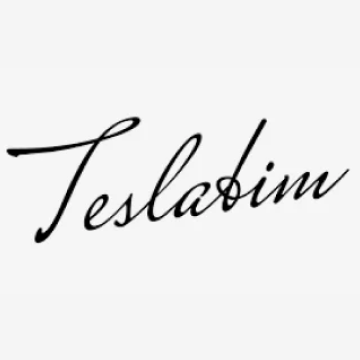 TeslaBIM с Dekraft и Systeme Electric